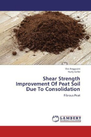 Книга Shear Strength Improvement Of Peat Soil Due To Consolidation Vivi Anggraini