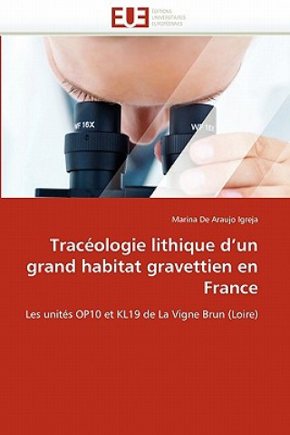 Kniha Trac ologie Lithique d''un Grand Habitat Gravettien En France Angelica de Antonio