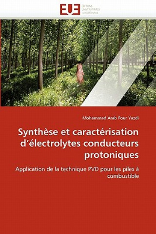 Kniha Synth se Et Caract risation D  lectrolytes Conducteurs Protoniques Mohammad Arab Pour Yazdi