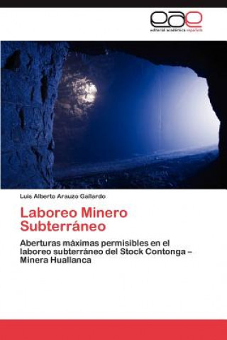 Kniha Laboreo Minero Subterraneo Luis Alberto Arauzo Gallardo