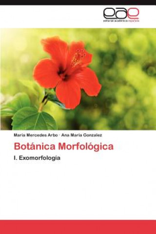 Книга Botanica Morfologica Maria Mercedes Arbo