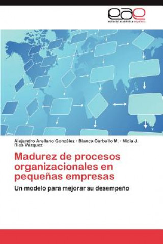 Buch Madurez de Procesos Organizacionales En Pequenas Empresas Alejandro Arellano González