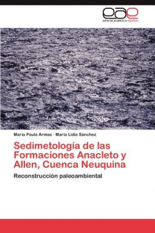 Kniha Sedimetologia de las Formaciones Anacleto y Allen, Cuenca Neuquina María Paula Armas