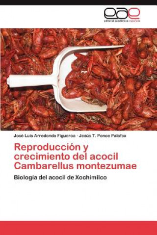 Könyv Reproduccion y Crecimiento del Acocil Cambarellus Montezumae José Luis Arredondo Figueroa