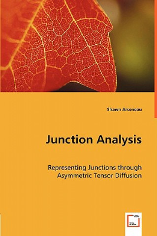 Книга Junction Analysis Shawn Arseneau