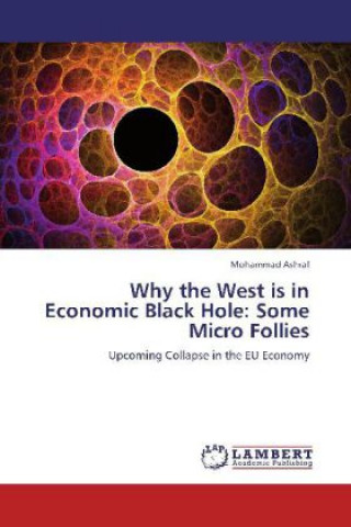 Książka Why the West is in Economic Black Hole: Some Micro Follies Mohammad Ashraf