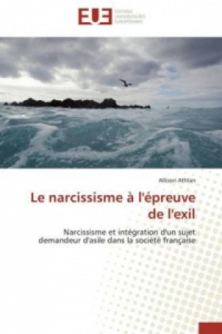 Könyv Le narcissisme à l'épreuve de l'exil Allison Athlan