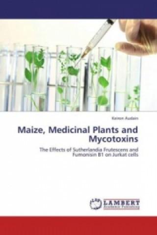 Könyv Maize, Medicinal Plants and Mycotoxins Keiron Audain