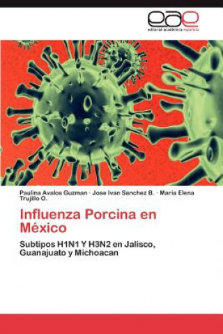 Buch Influenza Porcina en Mexico Paulina Avalos Guzman