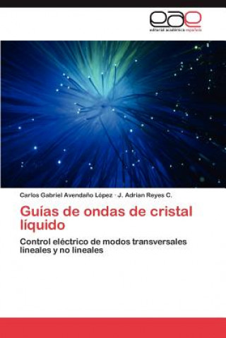 Książka Guias de Ondas de Cristal Liquido J. Adrian Reyes C.