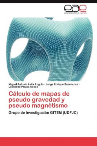 Könyv Calculo de mapas de pseudo gravedad y pseudo magnetismo Miguel Antonio Ávila Angulo