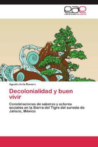 Kniha Decolonialidad y buen vivir Agustin Avila Romero