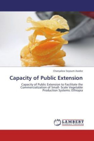 Książka Capacity of Public Extension Chanyalew Seyoum Aweke