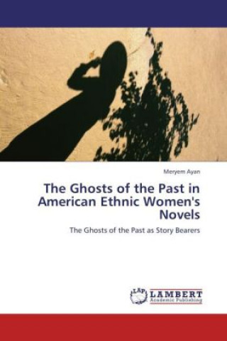 Libro The Ghosts of the Past in American Ethnic Women's Novels Meryem Ayan