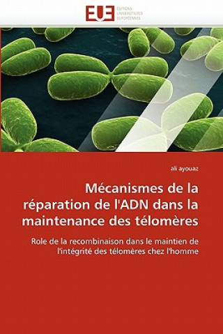 Kniha M canismes de la R paration de l''adn Dans La Maintenance Des T lom res Ali Ayouaz