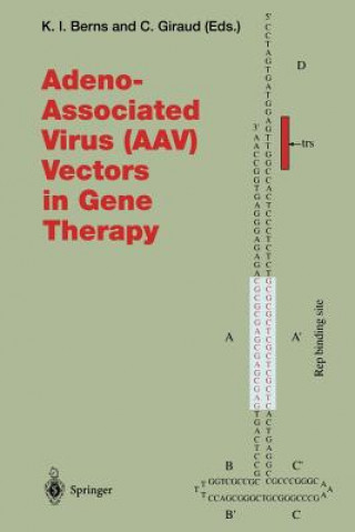 Carte Adeno-Associated Virus (AAV) Vectors in Gene Therapy Kenneth I. Berns