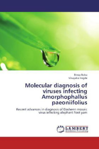 Książka Molecular diagnosis of viruses infecting Amorphophallus paeoniifolius Binoy Babu