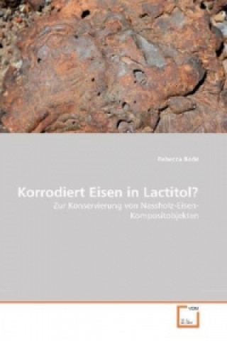 Książka Korrodiert Eisen in Lactitol? Rebecca Bade