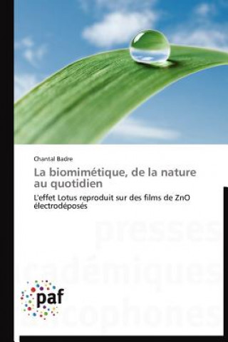 Kniha Biomimetique, de la Nature Au Quotidien Chantal Badre