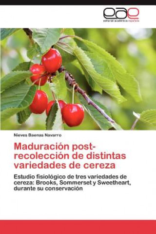 Könyv Maduracion Post-Recoleccion de Distintas Variedades de Cereza Nieves Baenas Navarro