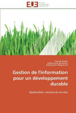 Libro Gestion de l'information pour un developpement durable Naoual Baghli