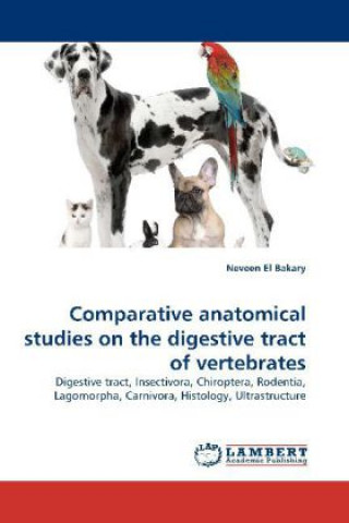 Kniha Comparative anatomical studies on the digestive tract of vertebrates Neveen El Bakary