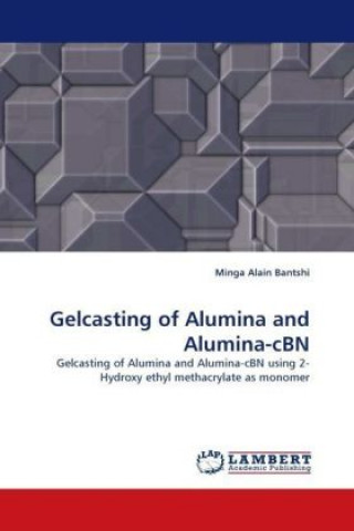 Kniha Gelcasting of Alumina and Alumina-cBN Minga Alain Bantshi