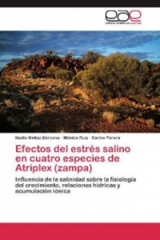 Kniha Efectos del estrés salino en cuatro especies de Atriplex (zampa) Nadia Melisa Bárcena