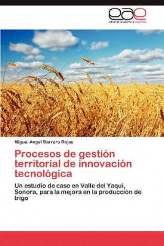 Kniha Procesos de gestion territorial de innovacion tecnologica Miguel Ángel Barrera Rojas