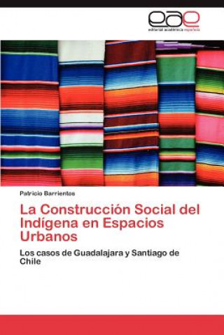 Buch Construccion Social del Indigena en Espacios Urbanos Patricio Barrientos