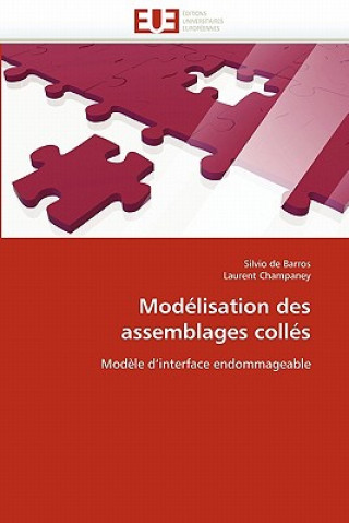 Kniha Mod lisation Des Assemblages Coll s Silvio de Barros