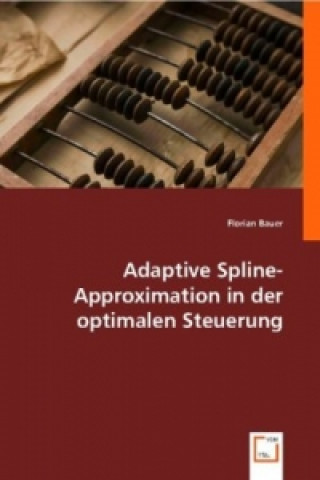 Kniha Adaptive Spline-Approximation in der optimalen Steuerung Florian Bauer