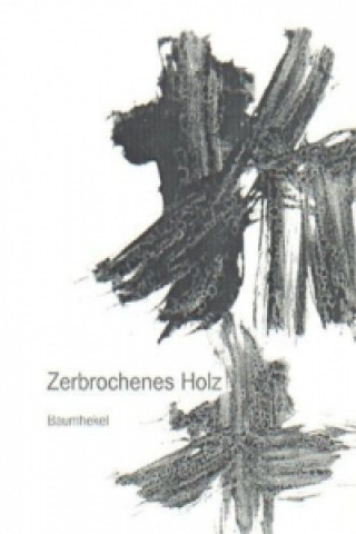 Könyv Zerbrochenes Holz /Broken Wood /Zhe mu Thomas Baumhekel