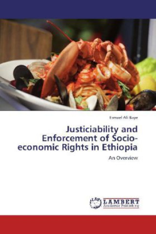 Buch Justiciability and Enforcement of Socio-economic Rights in Ethiopia Esmael Ali Baye