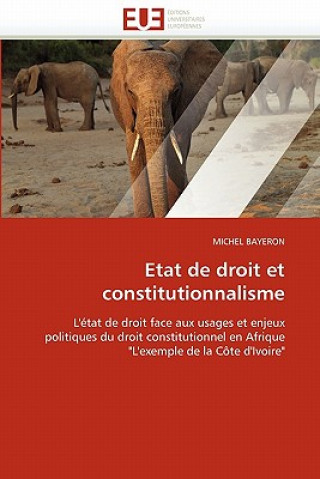 Kniha Etat de Droit Et Constitutionnalisme Michel Bayeron