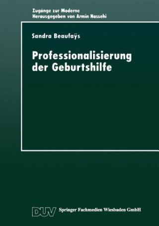 Kniha Professionalisierung Der Geburtshilfe Sandra Beaufaÿs