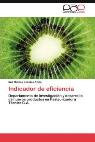 Kniha Indicador de eficiencia Dali Melissa Becerra Ayala
