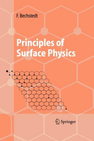 Buch Principles of Surface Physics Friedhelm Bechstedt