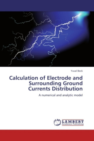 Kniha Calculation of Electrode and Surrounding Ground Currents Distribution Yuval Beck