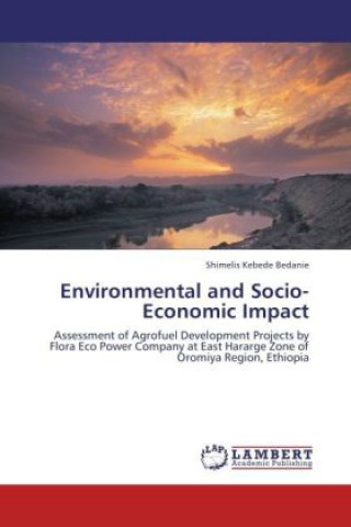 Buch Environmental and Socio-Economic Impact Shimelis Kebede Bedanie