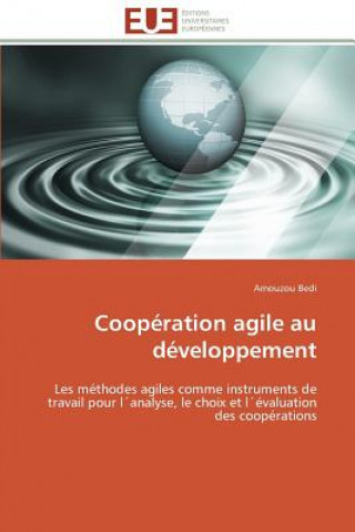 Kniha Coop ration Agile Au D veloppement Amouzou Bedi