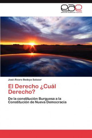 Книга Derecho ?Cual Derecho? José Álvaro Bedoya Salazar