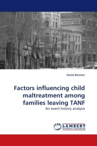 Kniha Factors influencing child maltreatment among families leaving TANF David Beimers