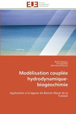 Книга Mod lisation Coupl e Hydrodynamique-Biog ochimie Béchir Bejaoui