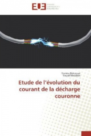 Libro Etude de l évolution du courant de la décharge couronne Yamina Bekaoual