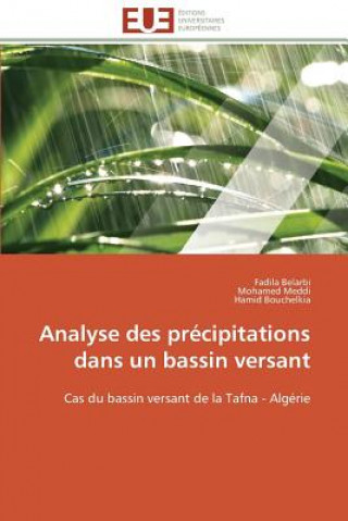 Kniha Analyse Des Pr cipitations Dans Un Bassin Versant Fadila Belarbi