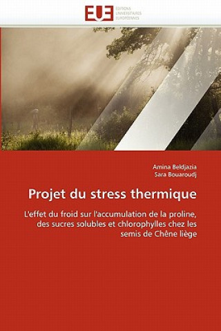 Könyv Projet Du Stress Thermique Amina Beldjazia