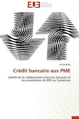 Buch Cr dit Bancaire Aux Pme Larissa Bella