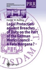 Könyv Legal Protection against Breaches of Duty on the Part of the German Works Council - A Fata Morgana? Detlev W. Belling