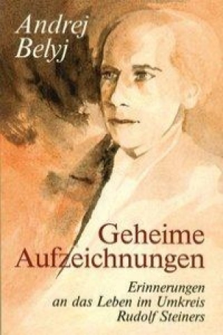 Buch Geheime Aufzeichnungen Andrej Belyj